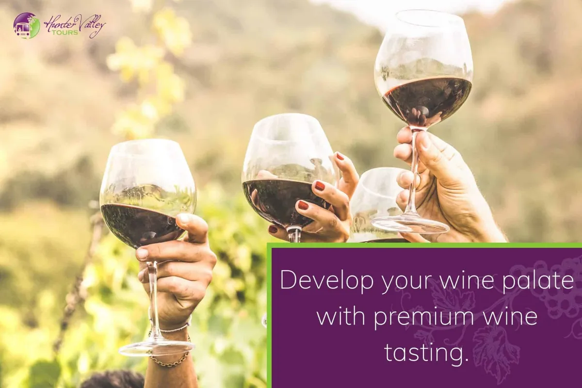 Premium wine tasting
