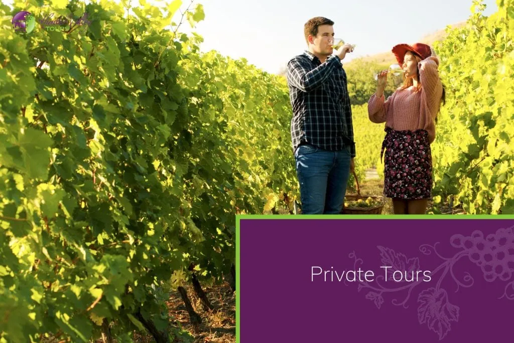 Wine Tasting