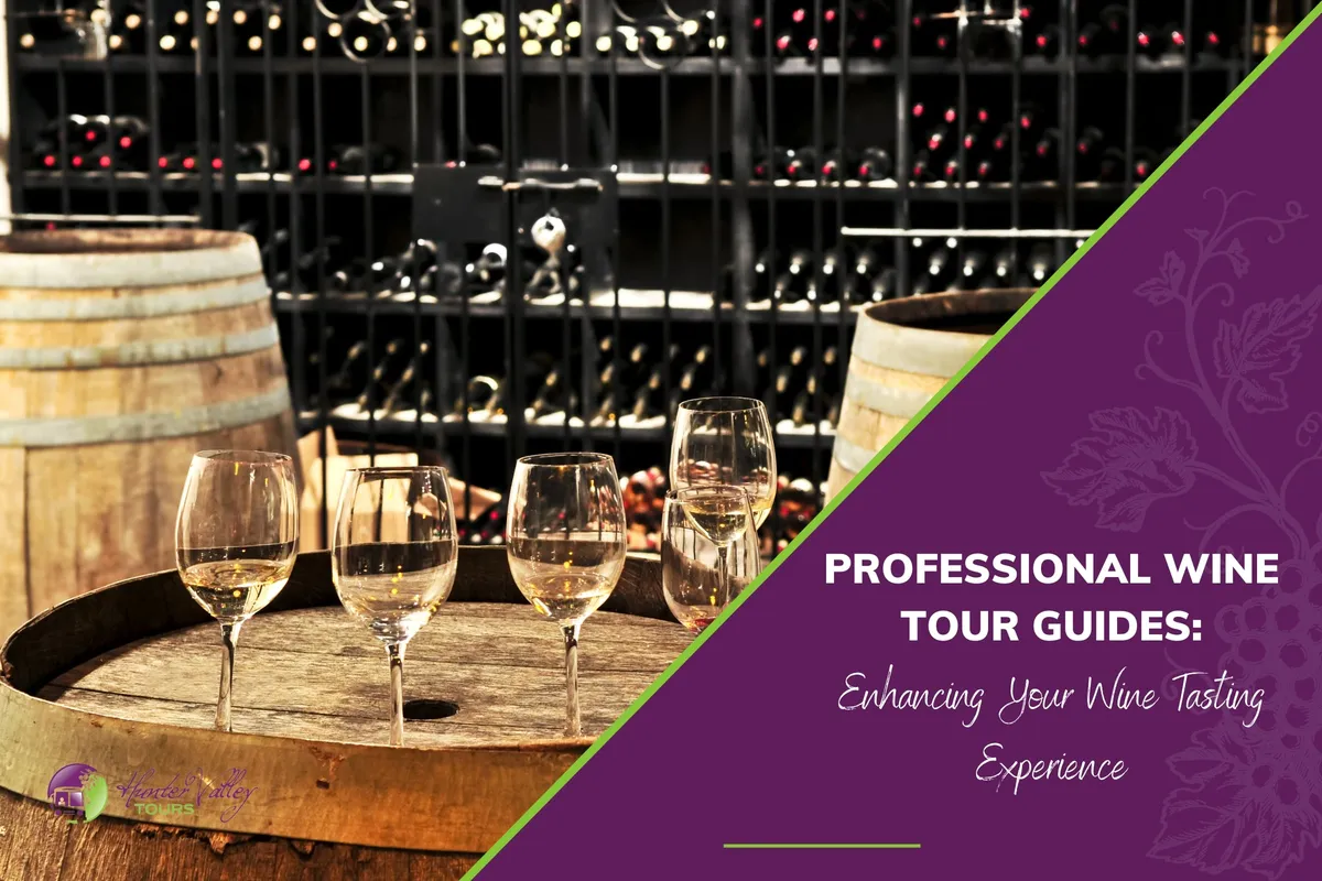 Professional Wine Tour Guides: Enhancing Your Wine Tasting Experience