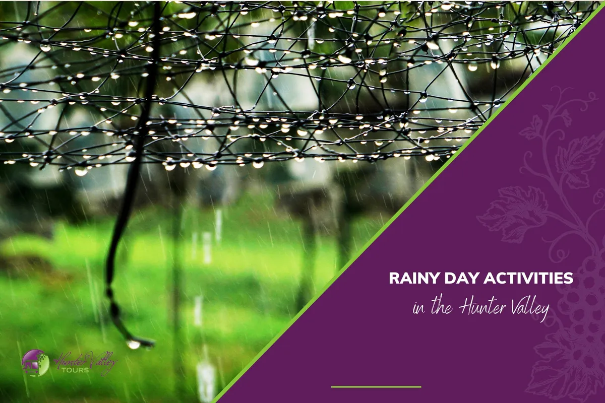 Rainy Day Activities in the Hunter Valley