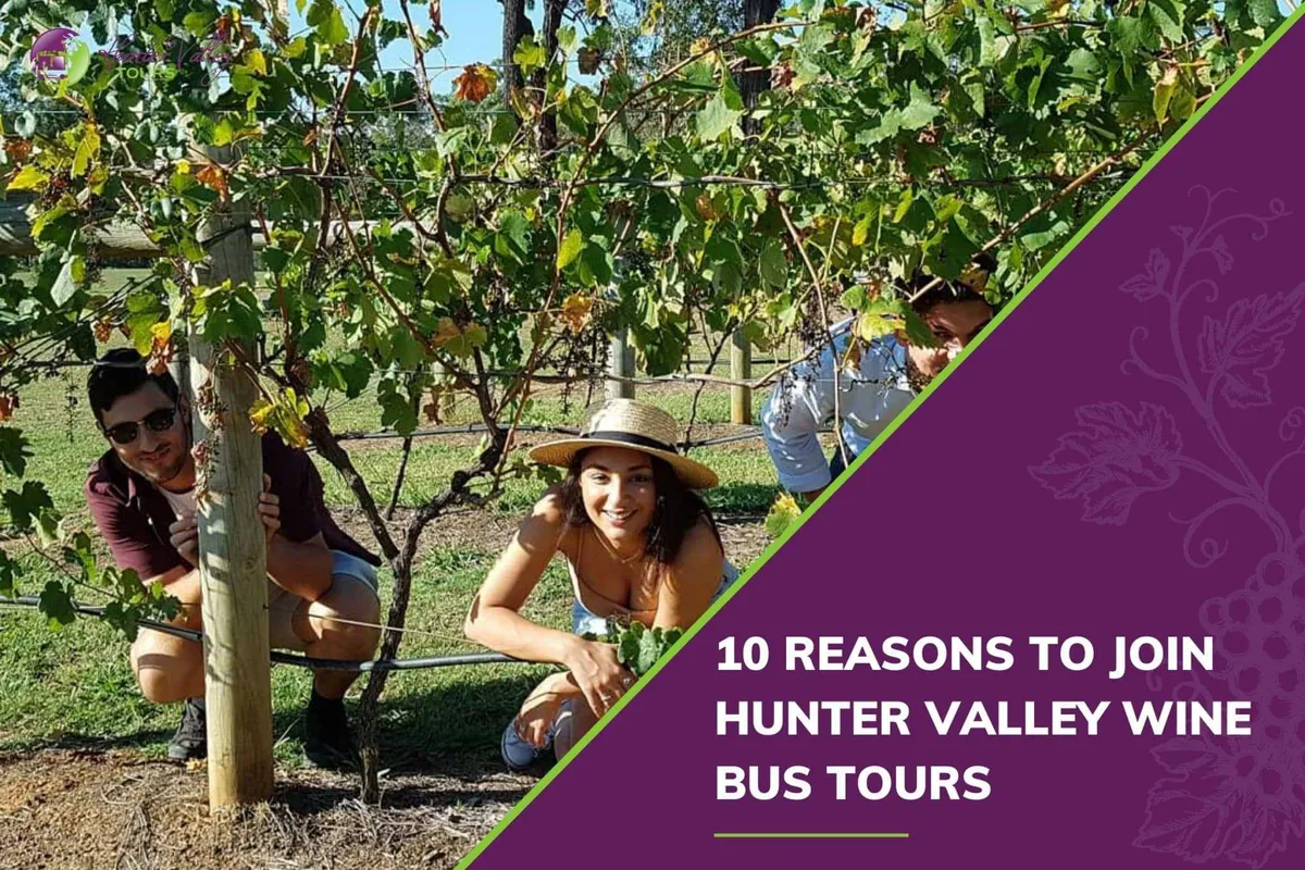 10 Reasons to Join Hunter Valley Wine Bus Tours