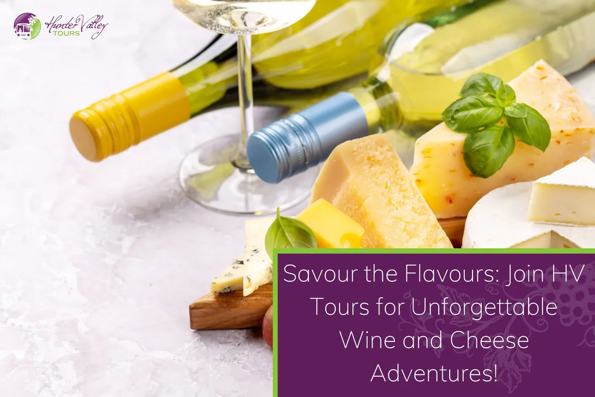 Wine and Cheese Adventures