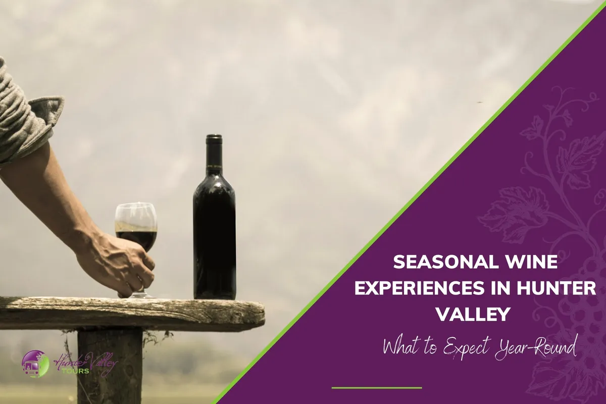 Seasonal Wine Experiences in Hunter Valley: What to Expect Year-Round