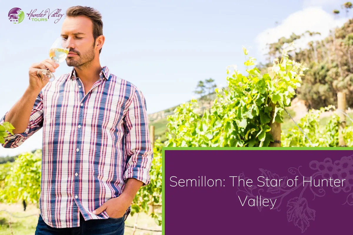The Star of Hunter Valley