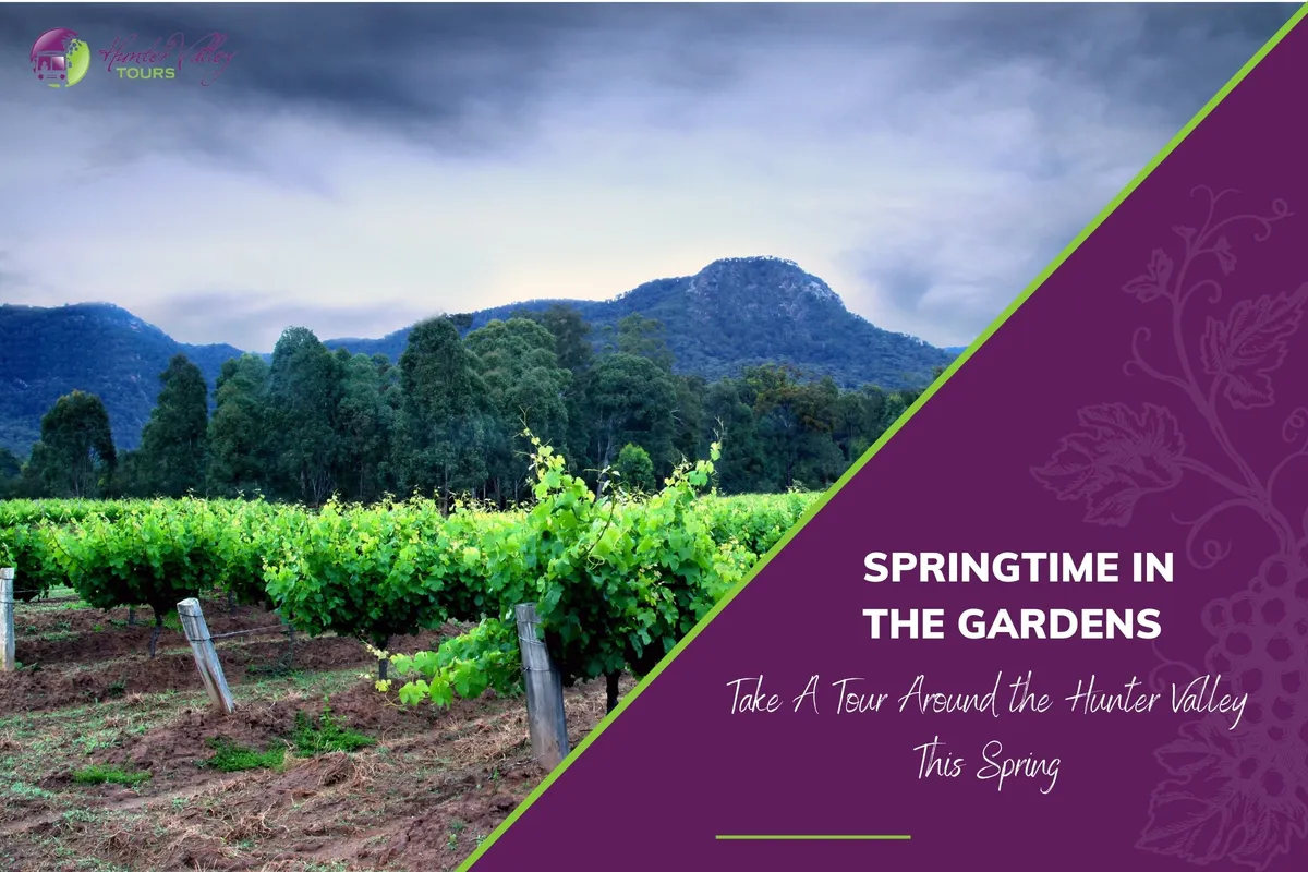 Springtime in the Gardens