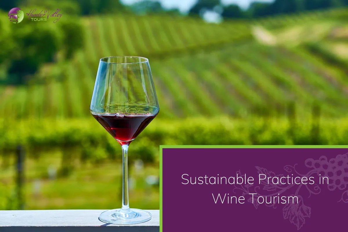 Wine in a wine glass with eco-friendly grass