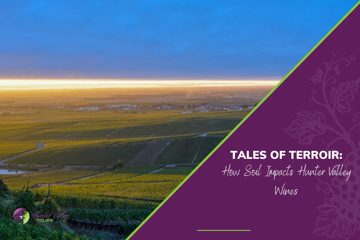 Tales of Terroir: How Soil Impacts Hunter Valley Wines