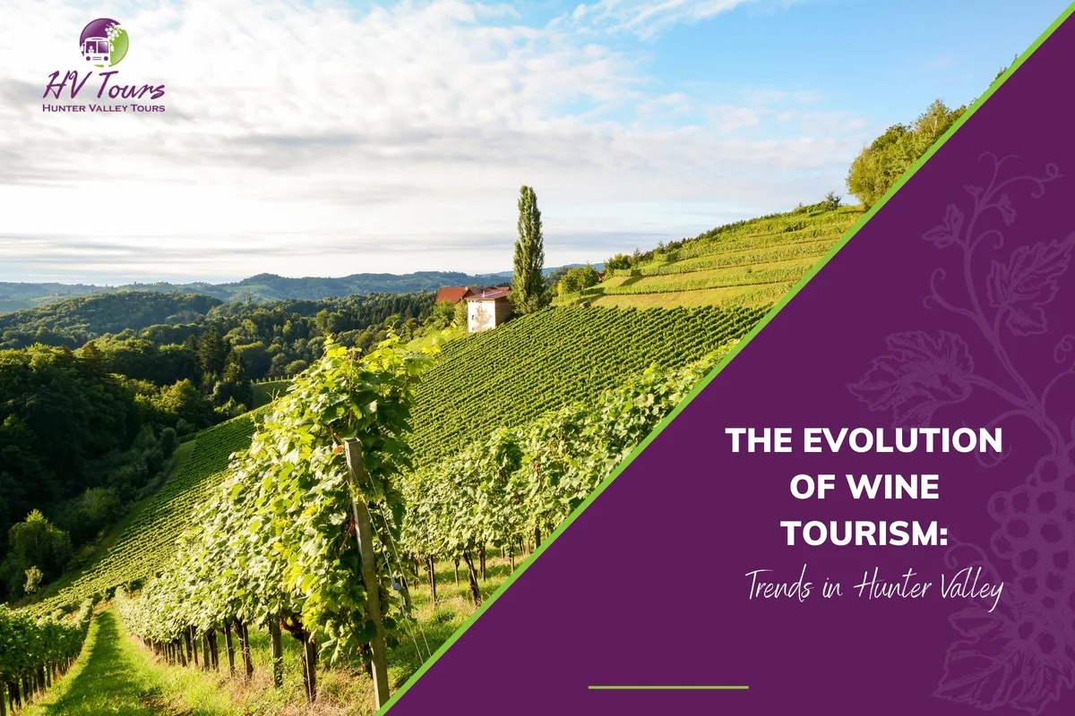 The Evolution of Wine Tourism: Trends in Hunter Valley
