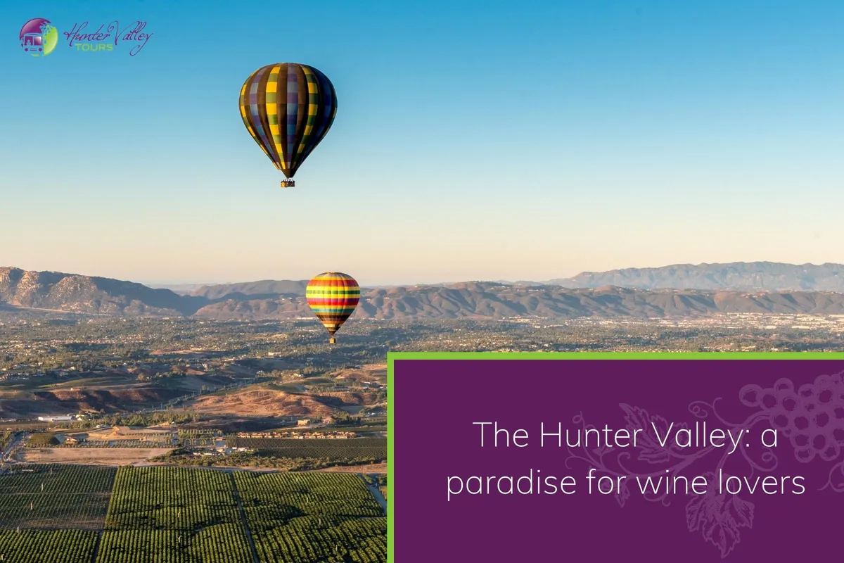 The Hunter Valley_ a paradise for wine lovers