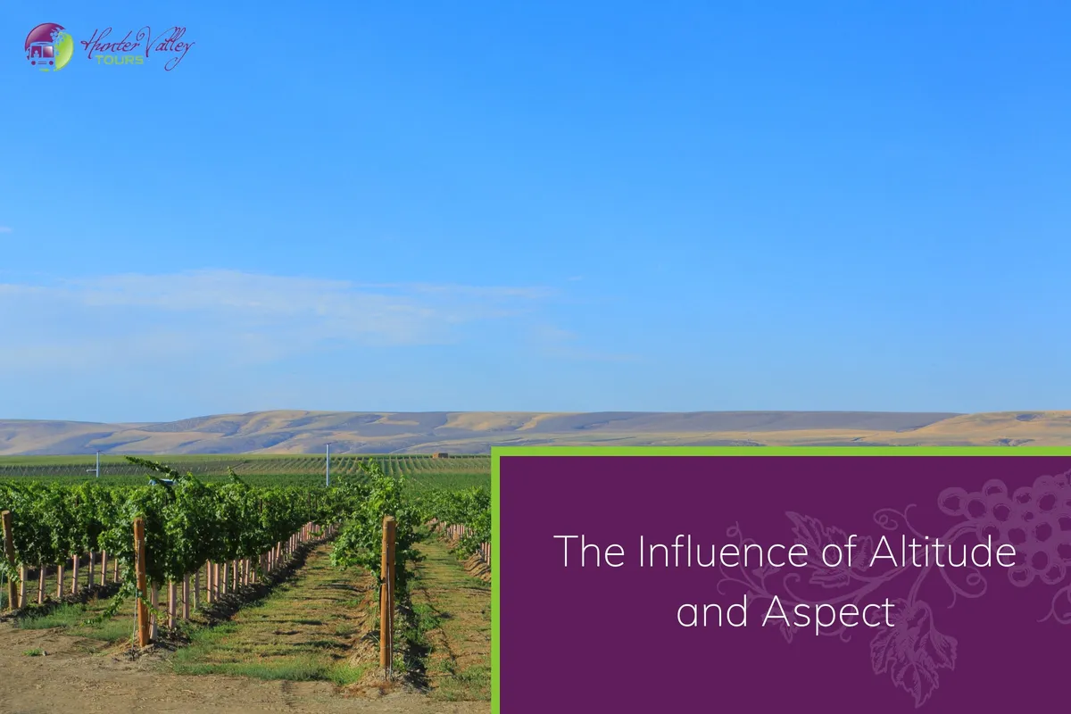 The Influence of Altitude and Aspect