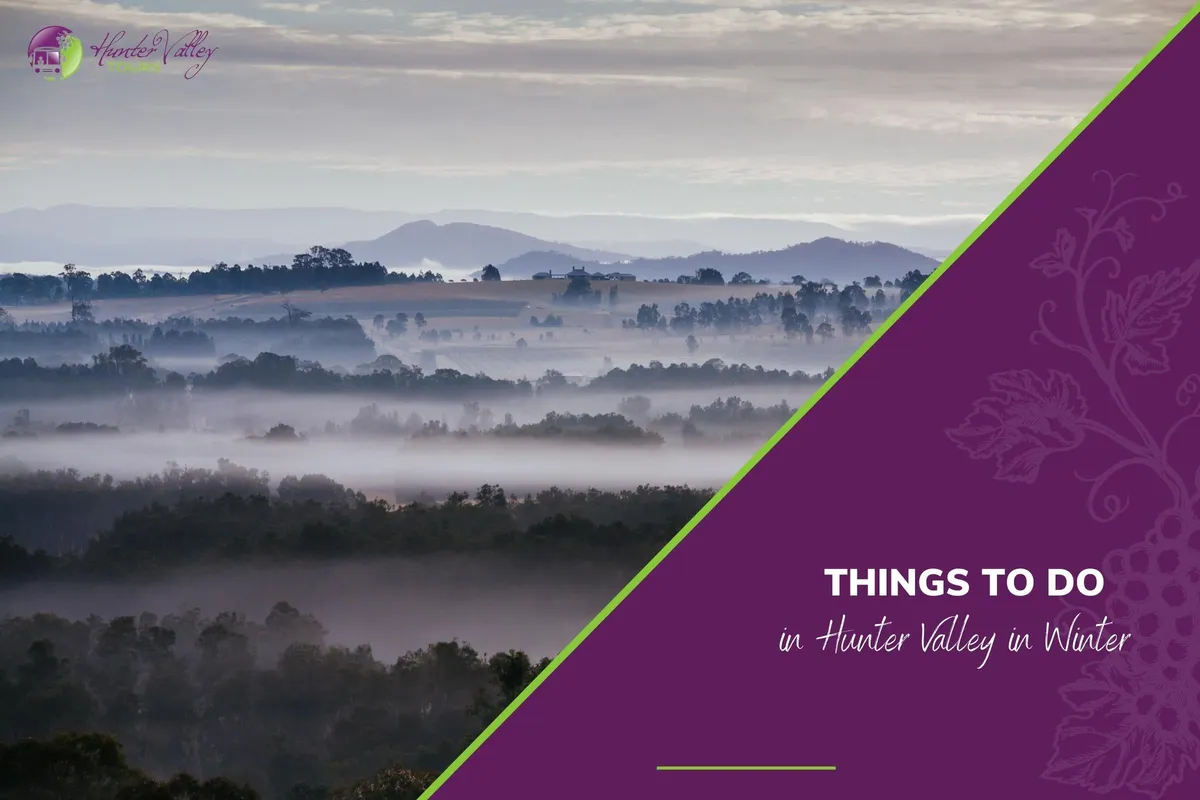 Things to Do in Hunter Valley in Winter