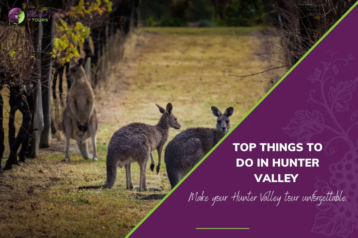 Top Things to Do in Hunter Valley