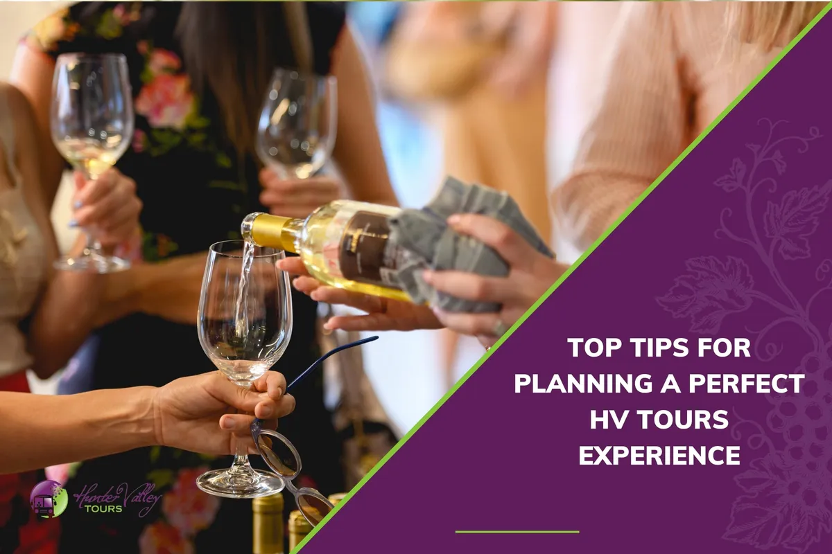 Top Tips for Planning a Perfect HV Tours Experience