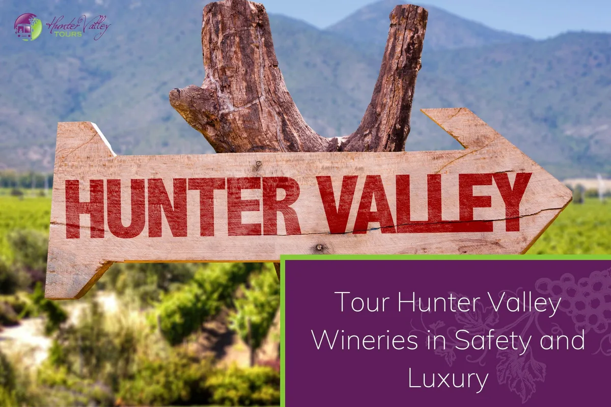 Tour Hunter Valley Wineries in Safety and Luxury