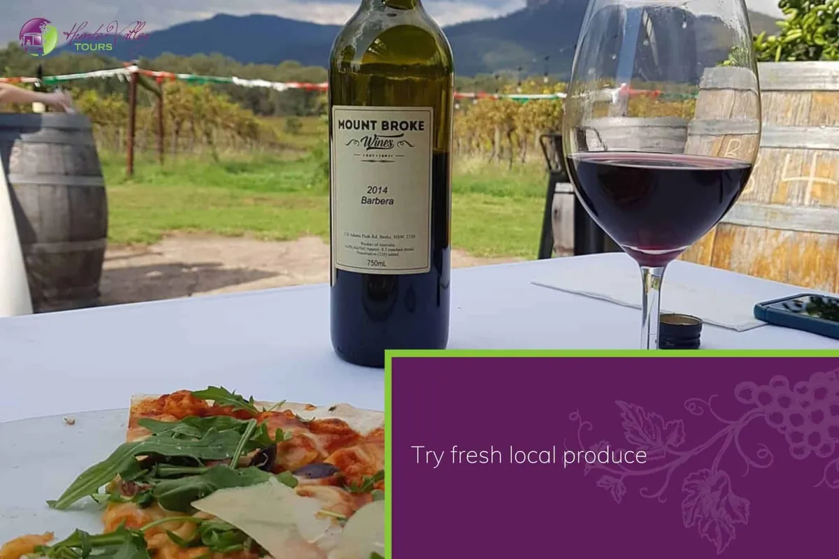 10 Reasons to Join Hunter Valley Wine Bus Tours
