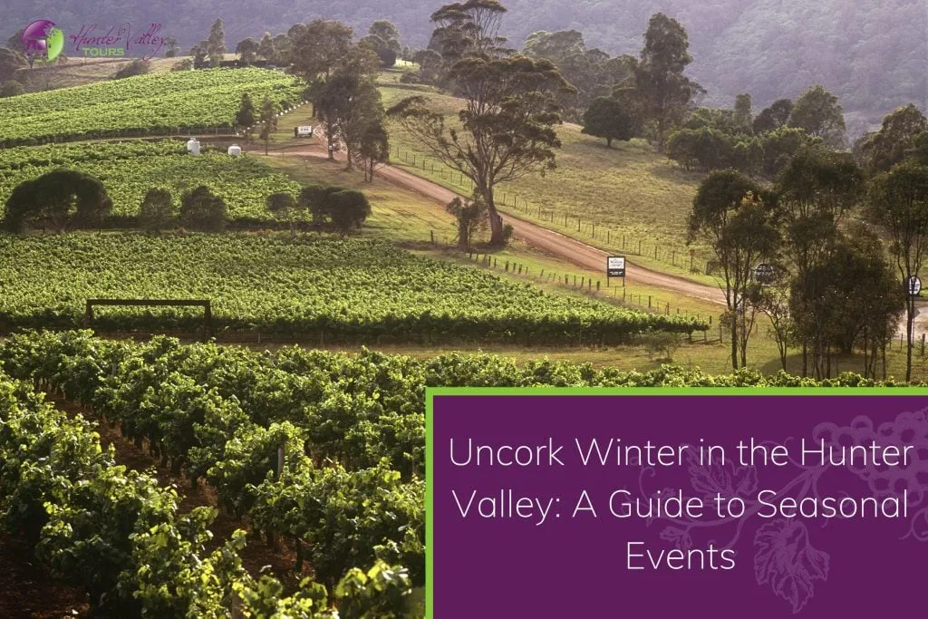 Uncork Winter in the Hunter Valley