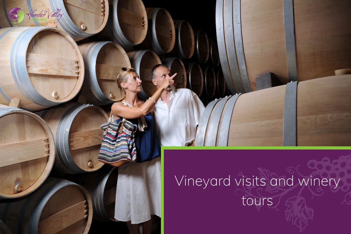 Vineyard visits and winery tours