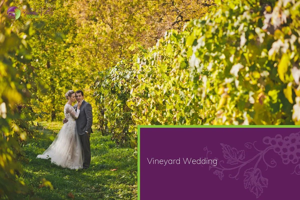 Vineyard Wedding