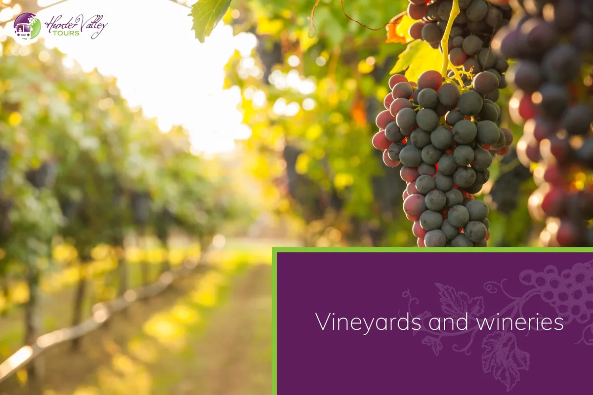 Vineyards and wineries