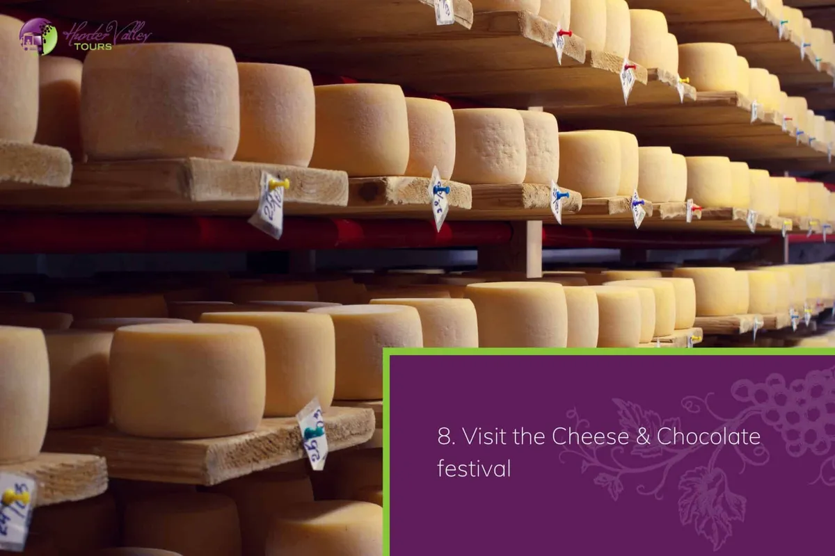 Visit the Cheese & Chocolate festival