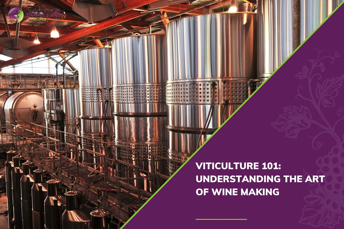 Viticulture 101: Understanding the Art of Wine Making