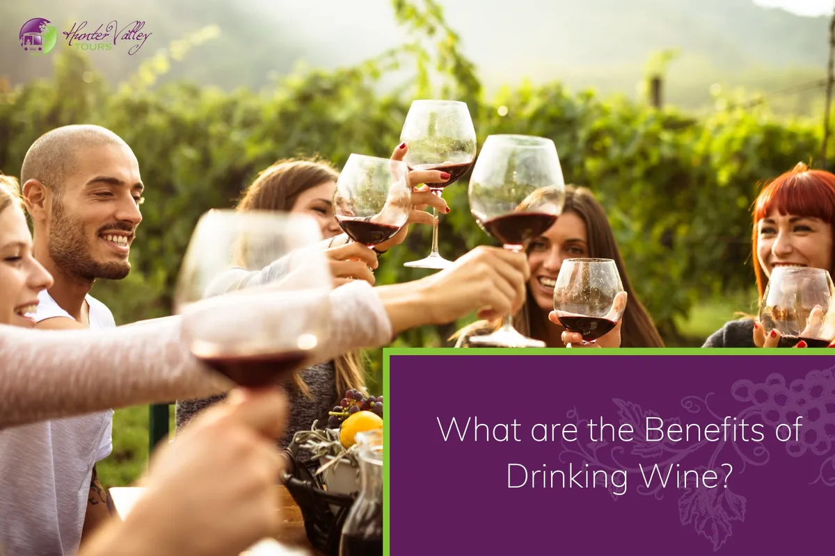 What are the Benefits of Drinking Wine?