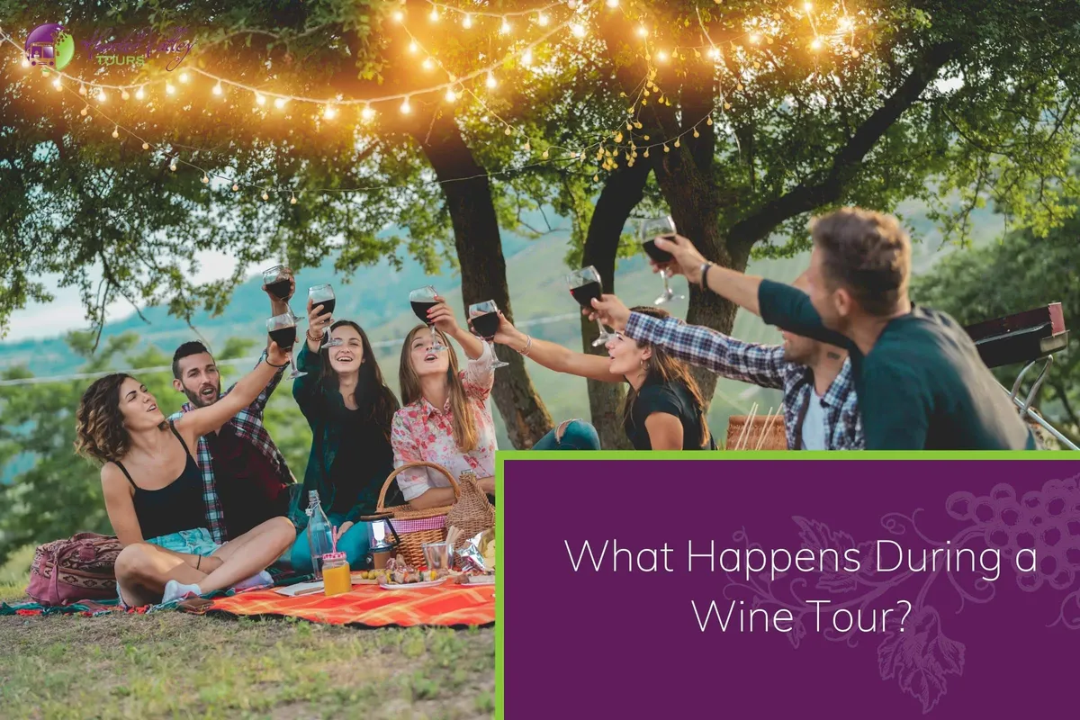 What Happens During a Wine Tour