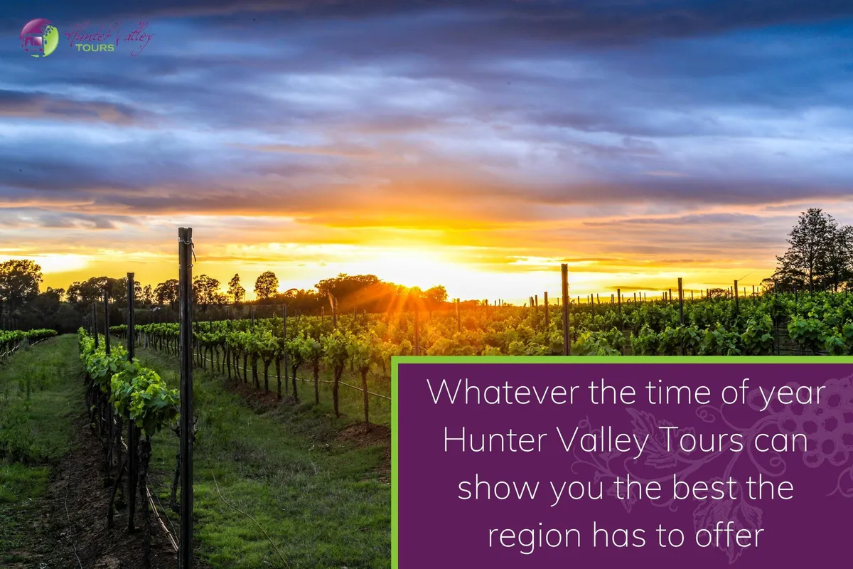 Whatever the time of year Hunter Valley Tours can show you the best the region has to offer