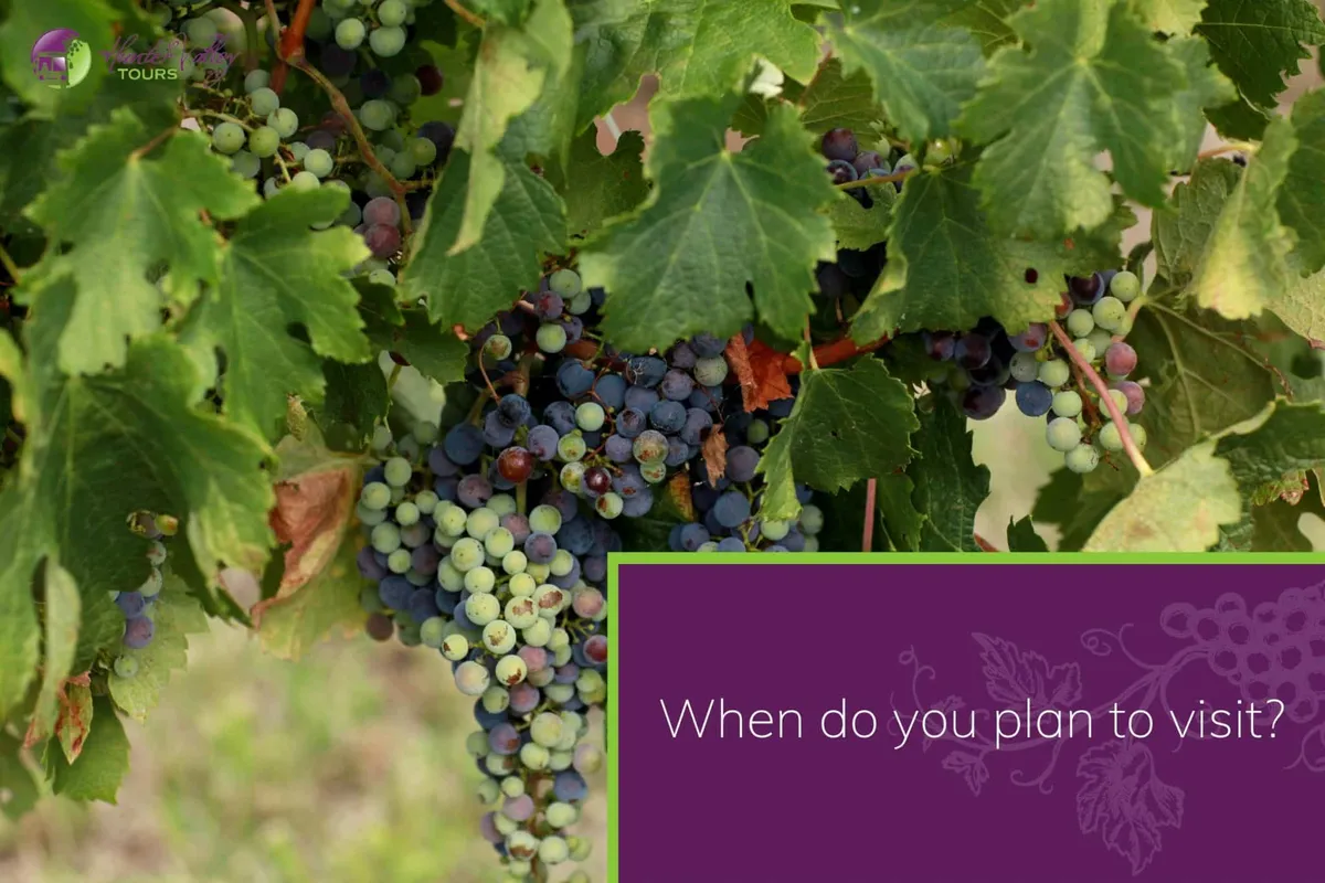 When do you plan to visit