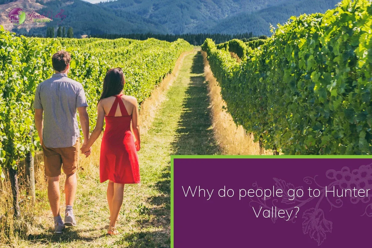 Why do people go to Hunter Valley