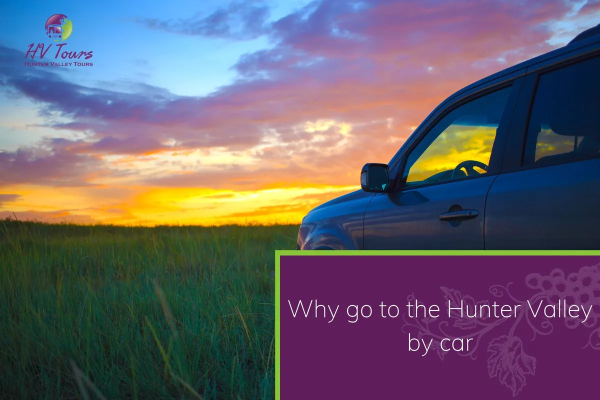 Why go to the Hunter Valley by car