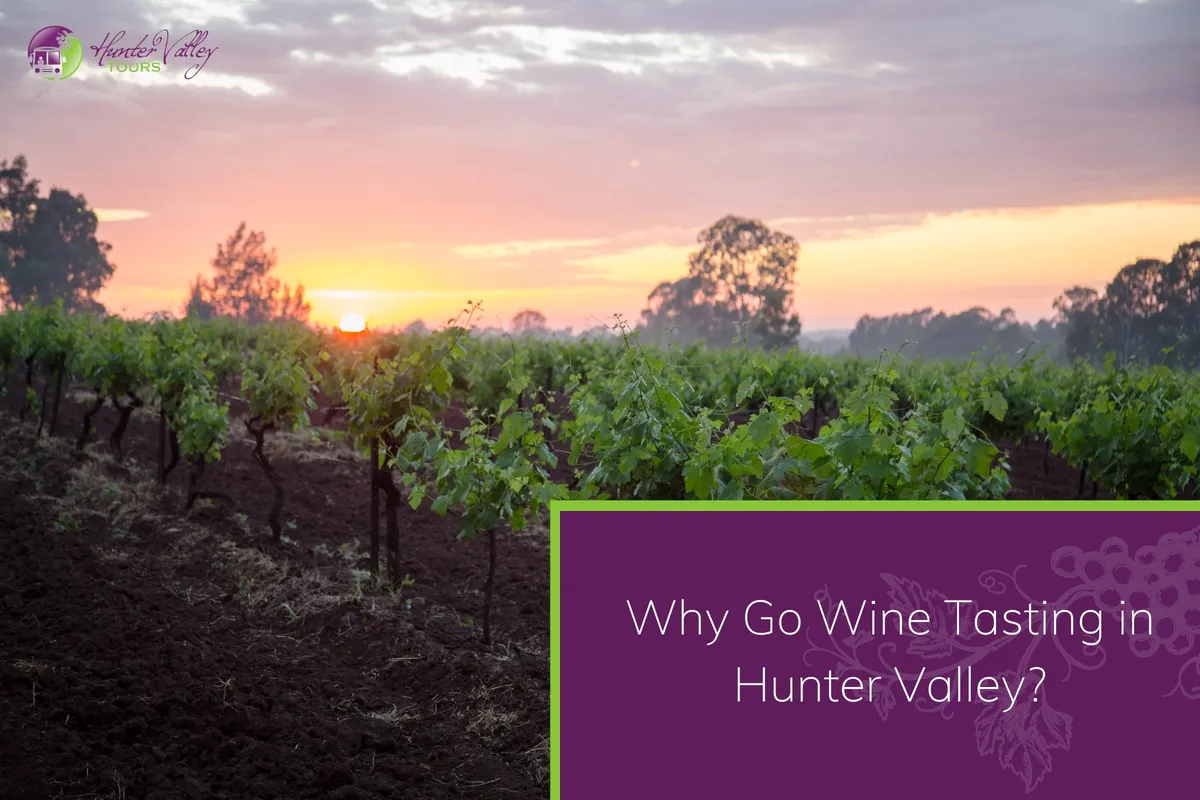 Why Go Wine Tasting in Hunter Valley