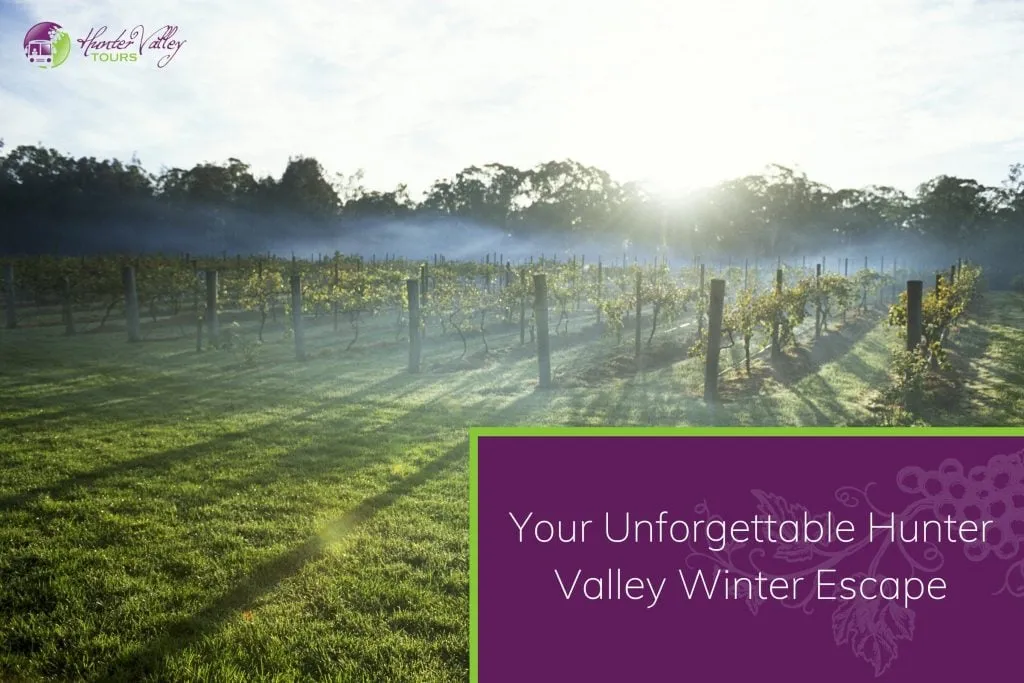 Your Unforgettable Hunter Valley Winter Escape