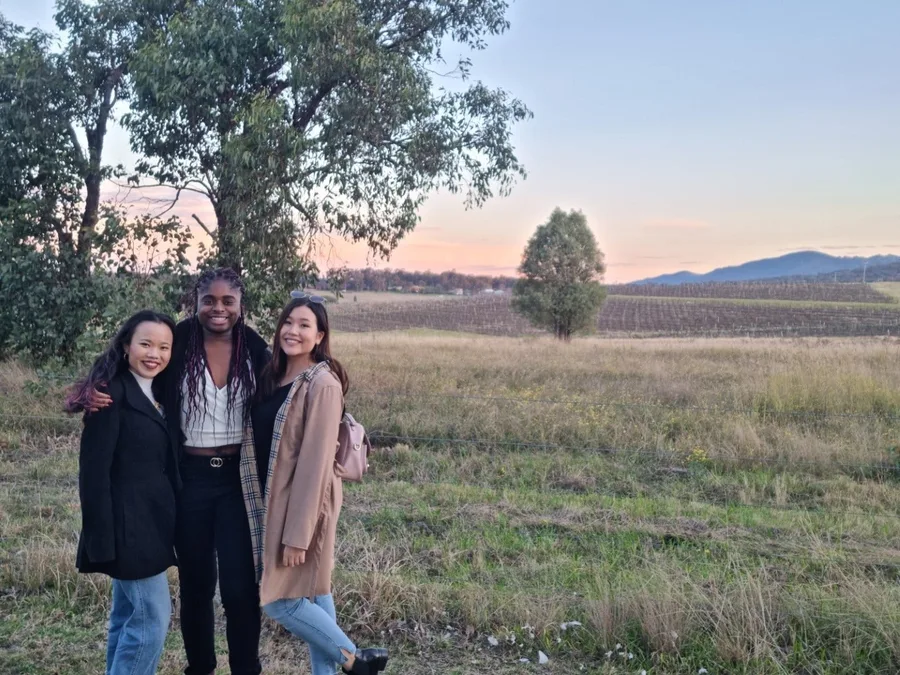 Three guests in a grassy field as dusk settles over the valley