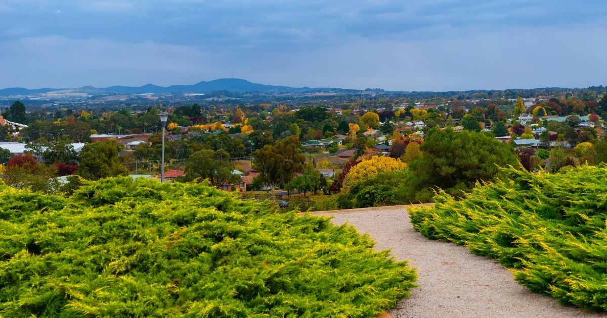 Wine tours from Branxton