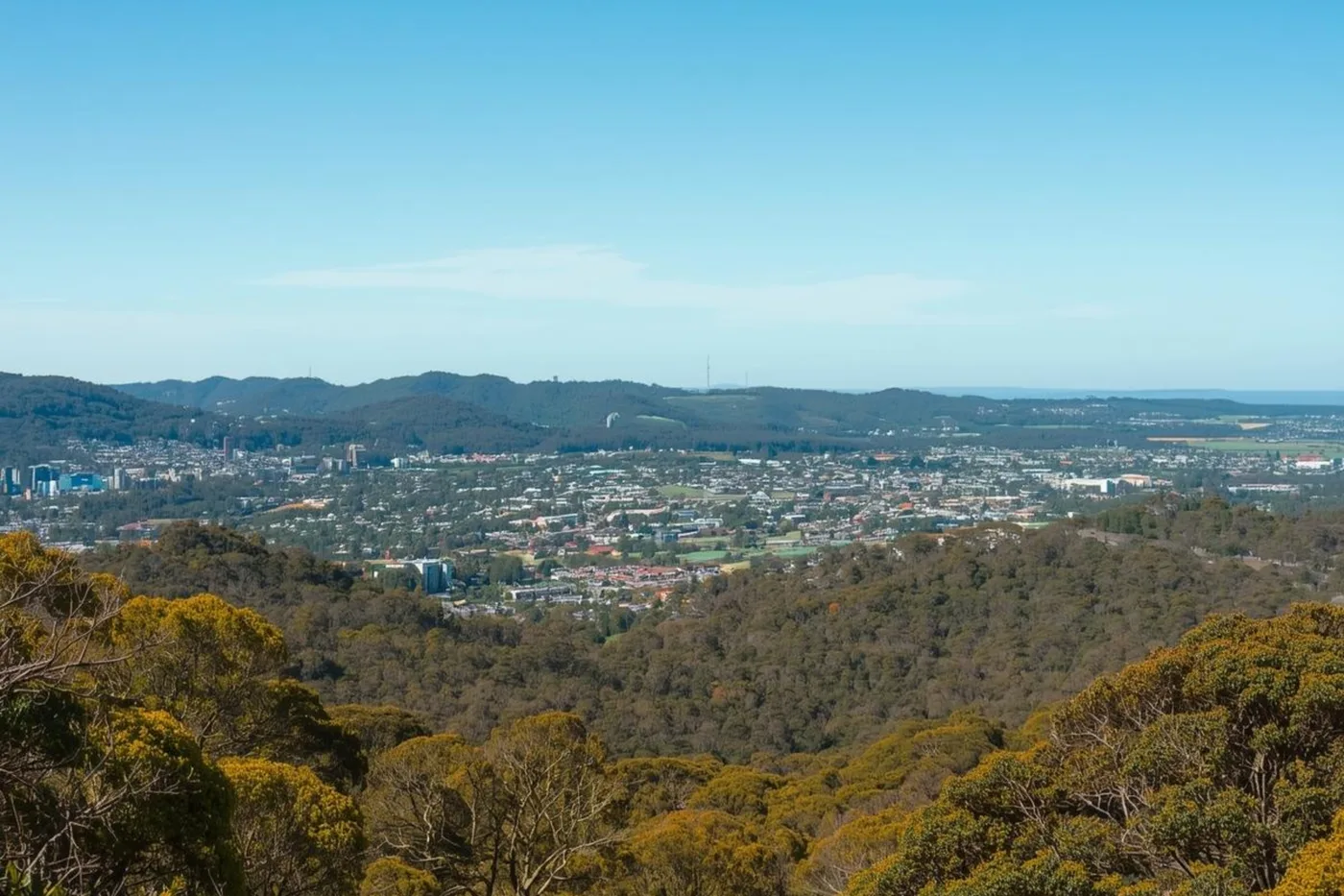 Wine tours from Hornsby