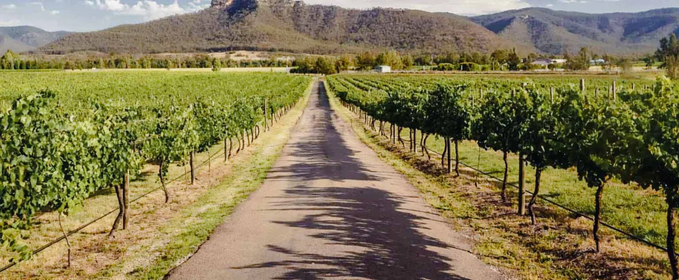 Wine tours around the Hunter Valley