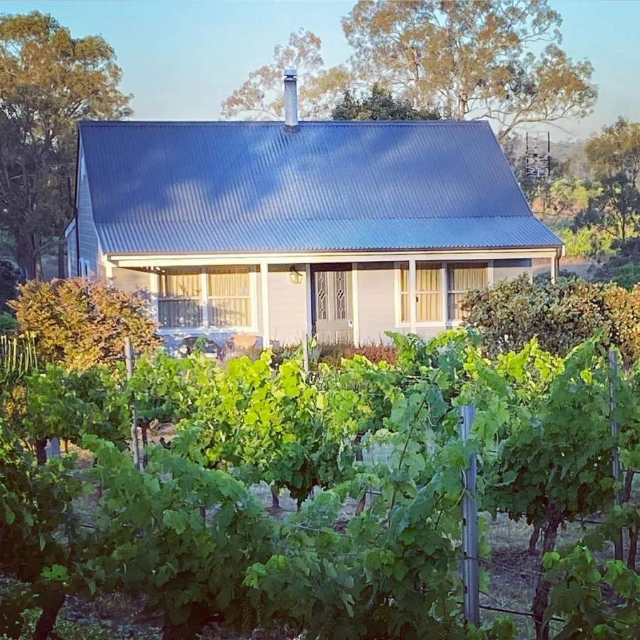 A weatherboard cottage behind rows of vines