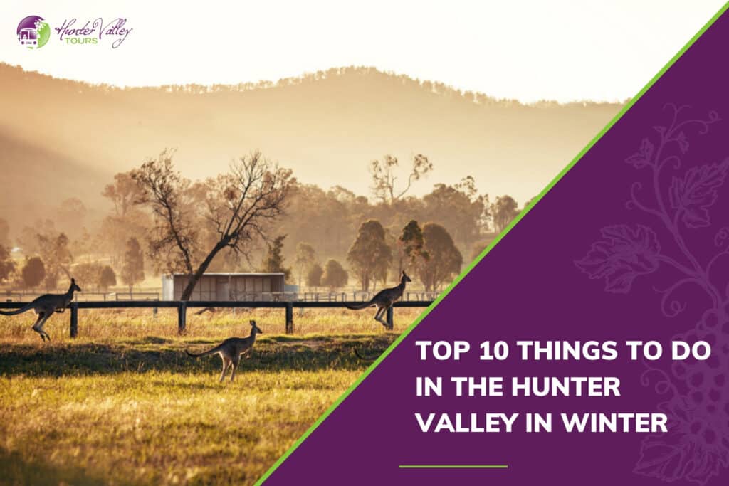 Top 10 Things To Do In The Hunter Valley in Winter Hunter Valley Tours