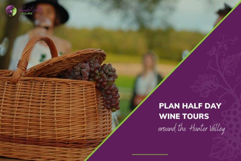 Plan Half Day Wine Tours around the Hunter Valley