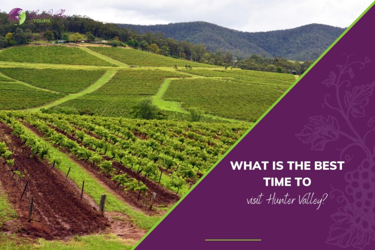 What is the best time to visit Hunter Valley