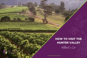 How to Visit The Hunter Valley Without a Car