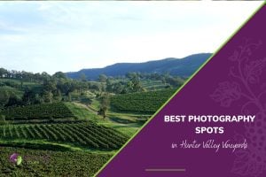 Best Photography Spots in Hunter Valley Vineyards