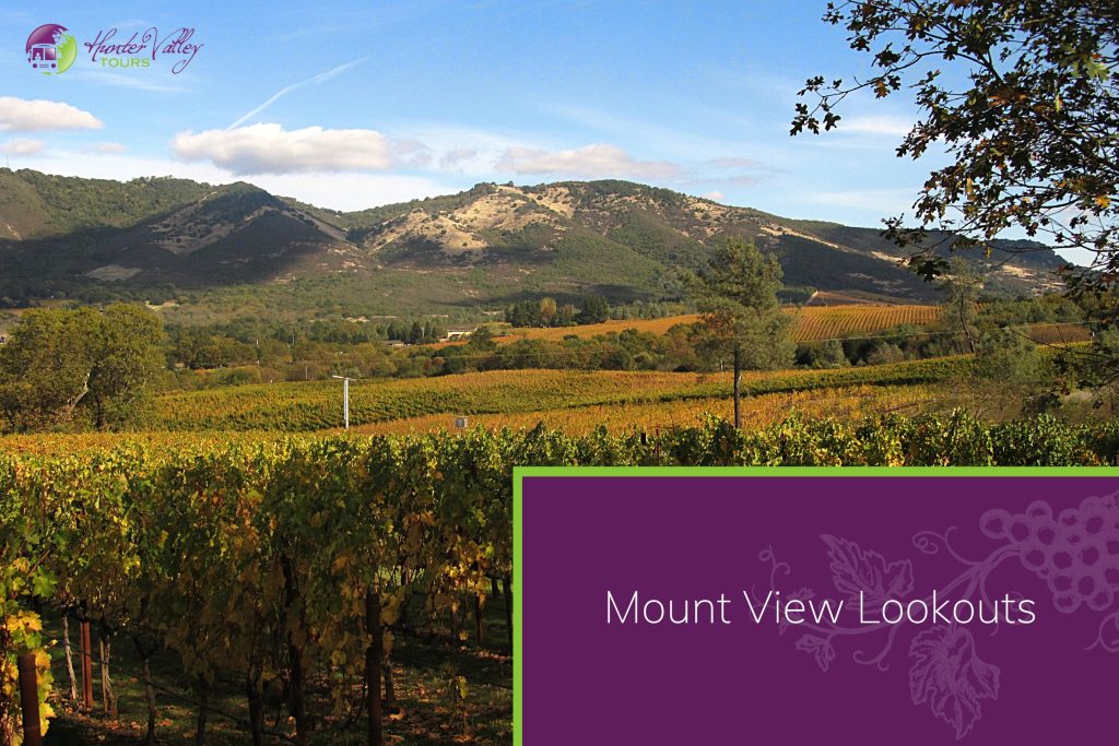 Mount View Lookouts