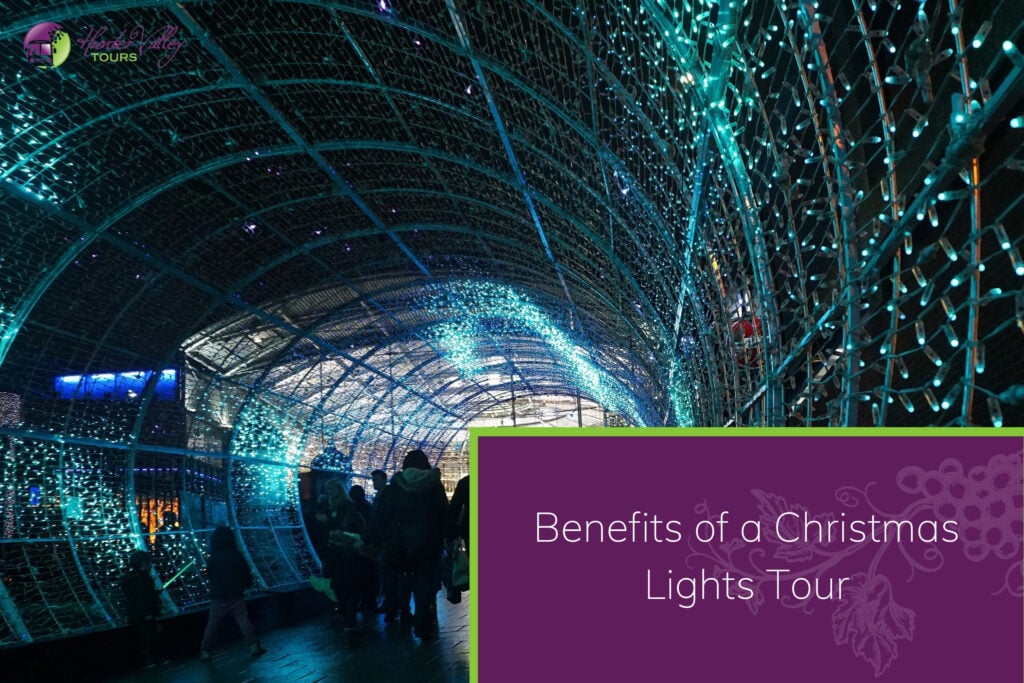Hunter Valley - Christmas Lights in the Hunter Valley 2025 Benefits of a Christmas Lights Tour