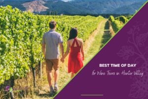 Best Time of Day for Wine Tours in Hunter Valley