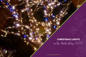 Christmas Lights in the Hunter Valley 2025