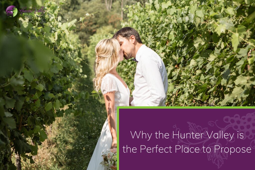 Why the Hunter Valley is the Perfect Place to Propose