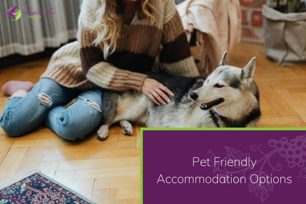 Pet Friendly Accommodation Options