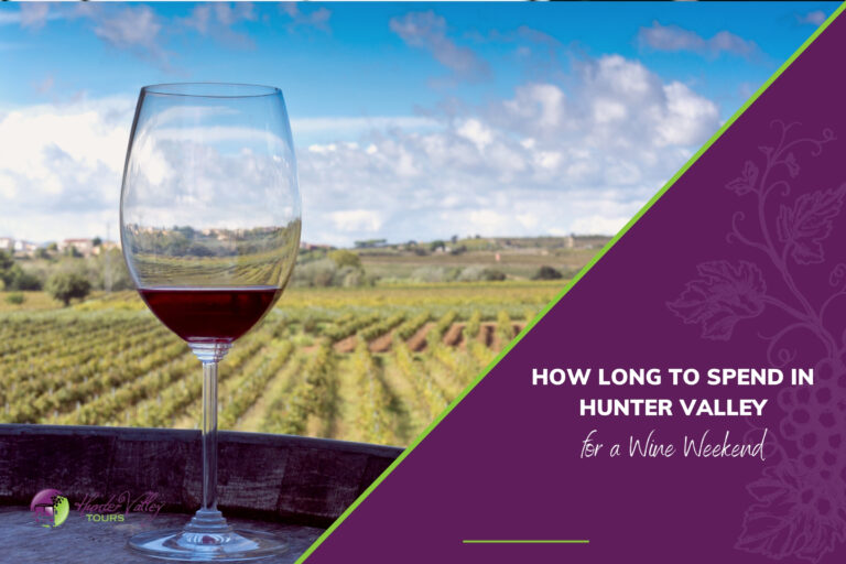 a glass of red wine on a wooden barrel overlooking a vineyard